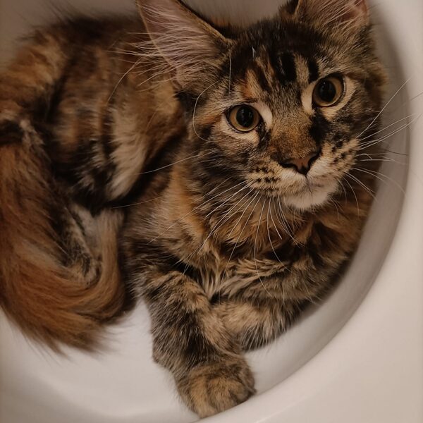 Holly della TribùDelPigneto